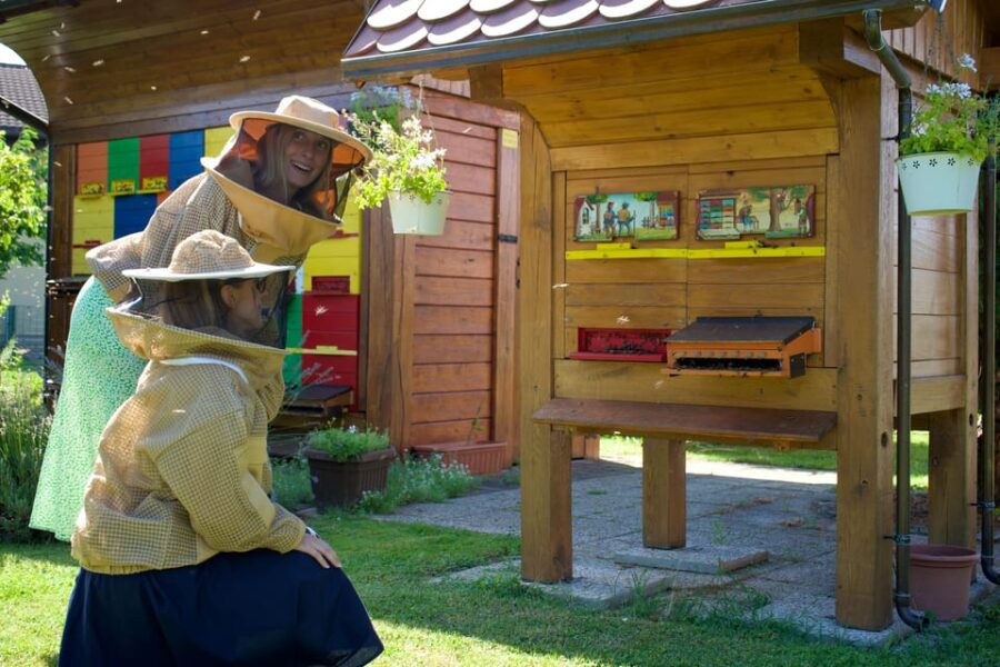 From Ljubljana: All About Bees - Overview of the Experience