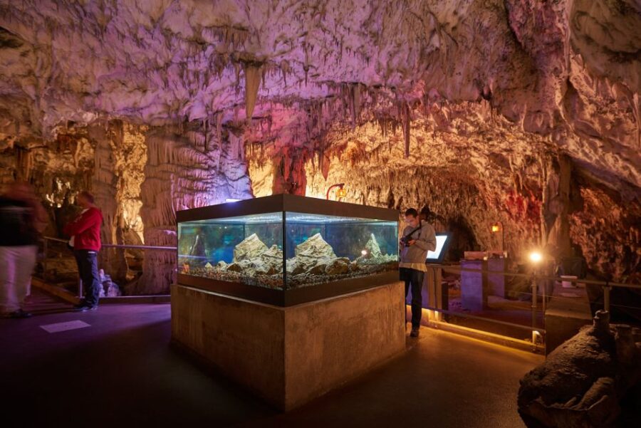 From Ljubljana: Lake Bled & Postojna Cave With Entry Tickets - Tour Overview