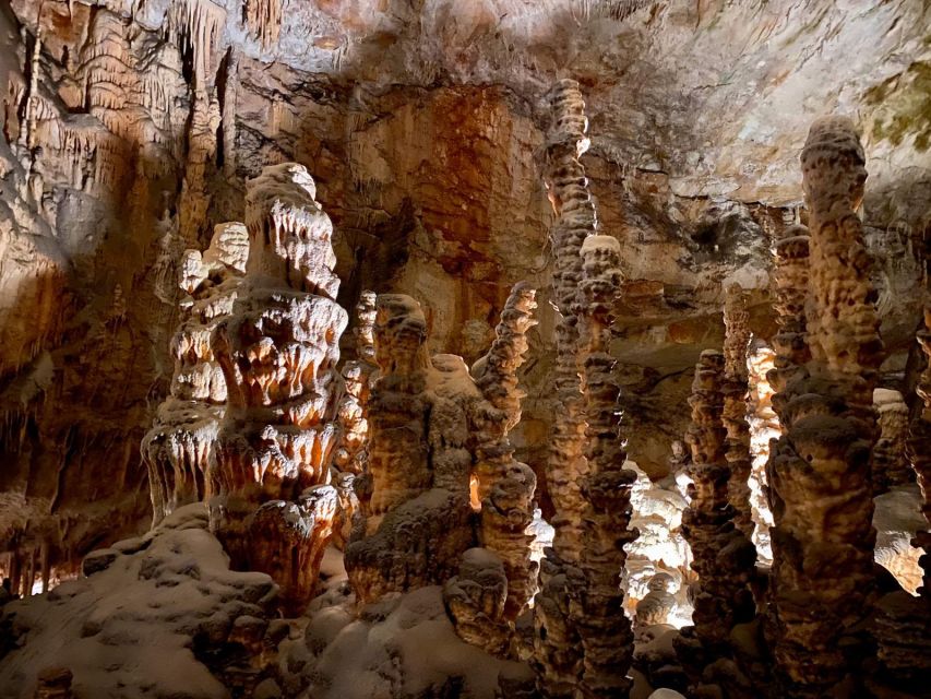 From Ljubljana: Postojna Cave Day Trip