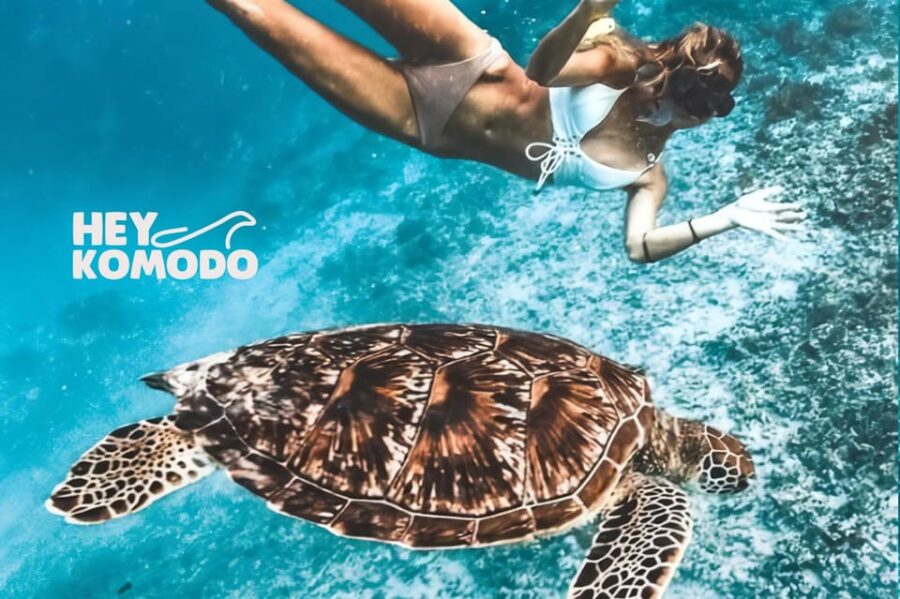 From Lombok: Private Tour Snorkeling 3 Gili Inc Lunch & Bike