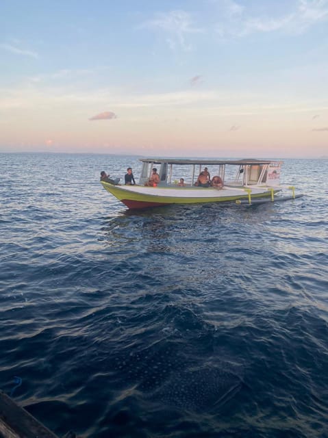 From Lombok,Sumbawa Whale Shark Tour 2D1N