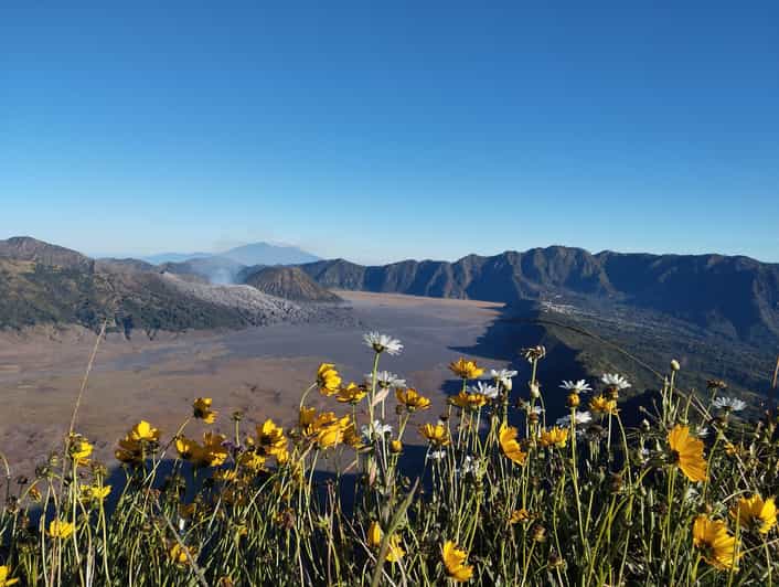From Malang: Bromo Sunrise and Pekalen River Rafting - Tour Overview and Pricing