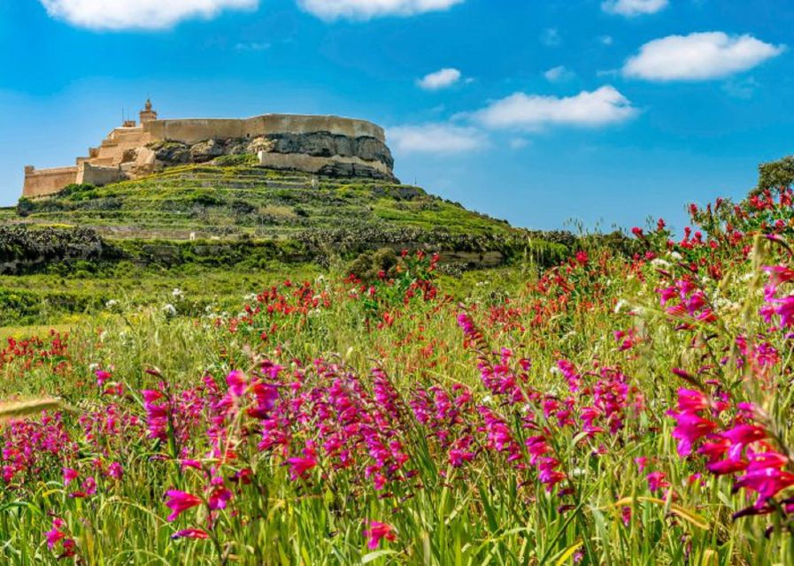 From Malta: Gozo Full-Day Tour With Guide, Temples, & Train