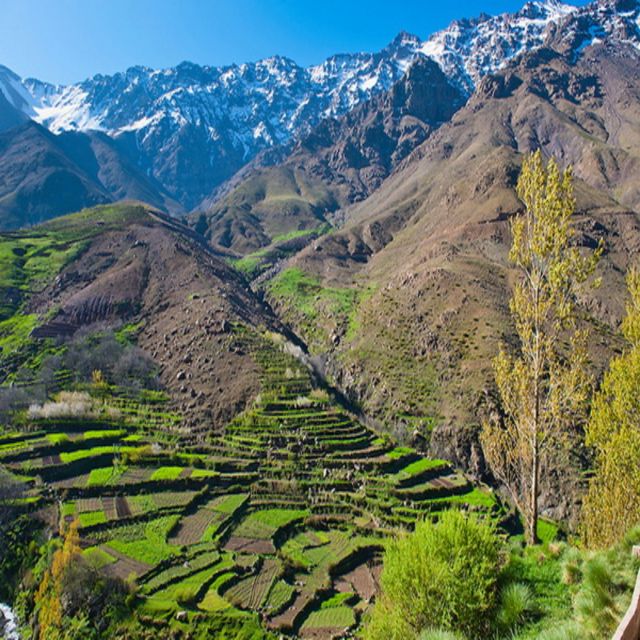 From Marrakech: Atlas Mountains and Berber Village Day Trip