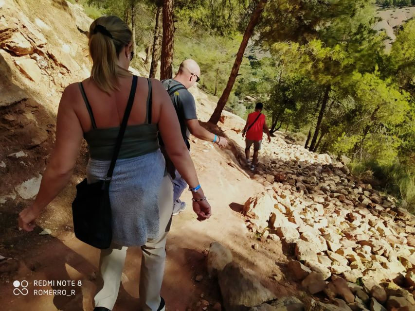 From Marrakech: Atlas Mountains & Toubkal Museum Day Tour - Tour Overview and Pricing