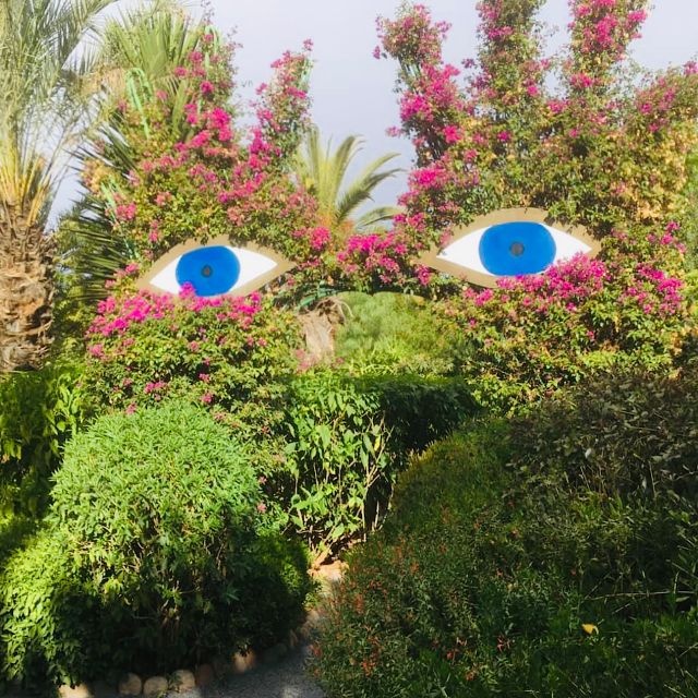 From Marrakech: Day Trip to Anima Garden and Imlil Valley