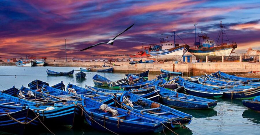 From Marrakech : Day Trip To Essaouira Mogador