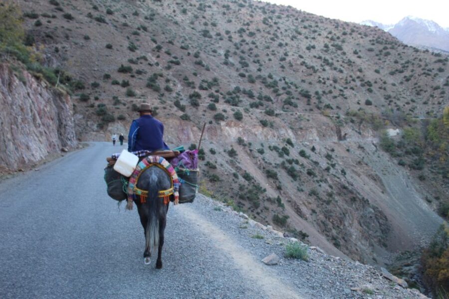 From Marrakech: Imlil and Waterfalls Day Trip With Lunch - Overview of the Day Trip