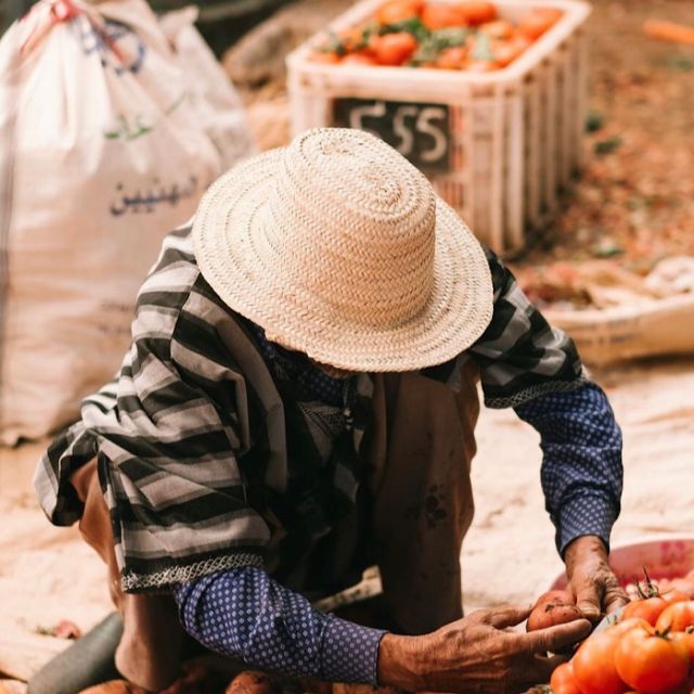 From Marrakech: Ouirgane Day Trip With Traditional Lunch