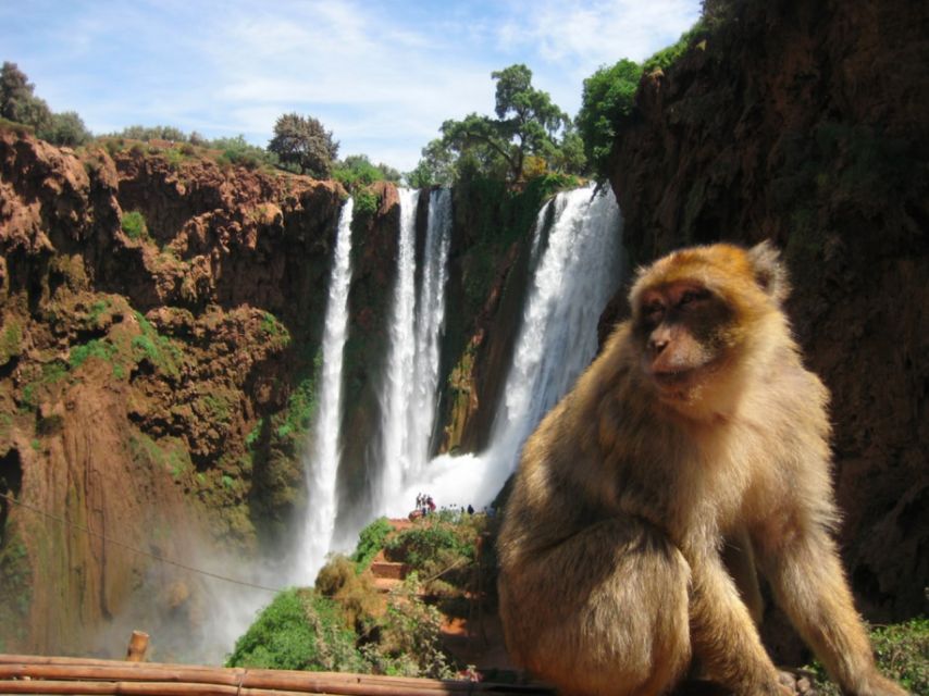 From Marrakech: Ouzoud Waterfalls Guided and Boat Ride