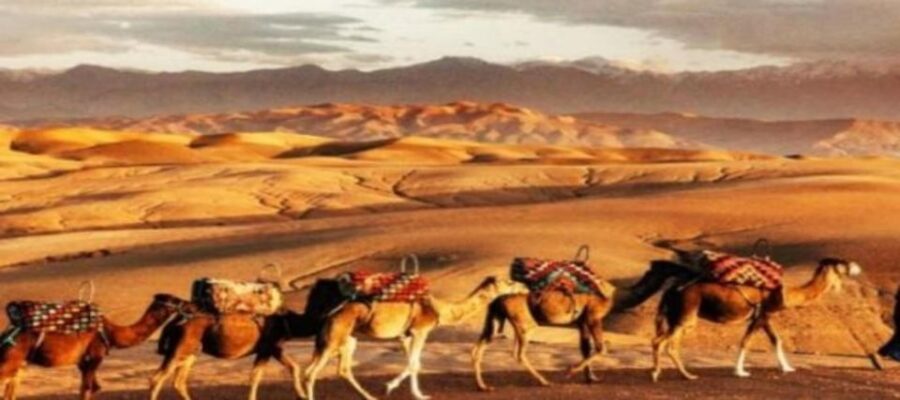 From Marrakech Rocky Desert Camp With Dinner Show and Sunset