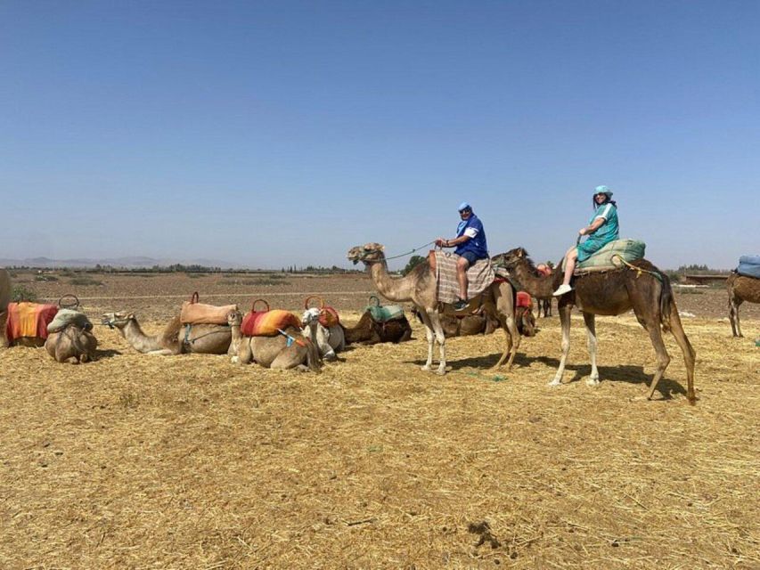 From Marrakech: Three Valleys, Waterfall, Atlas Mount’s Trip