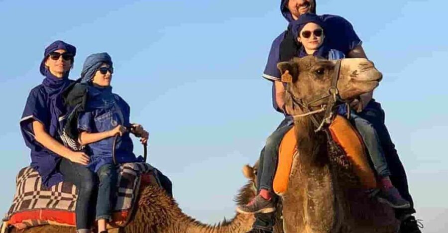 From Marrakesh: Agafay Desert Quad Bike and Camel Riding - Overview and Pricing