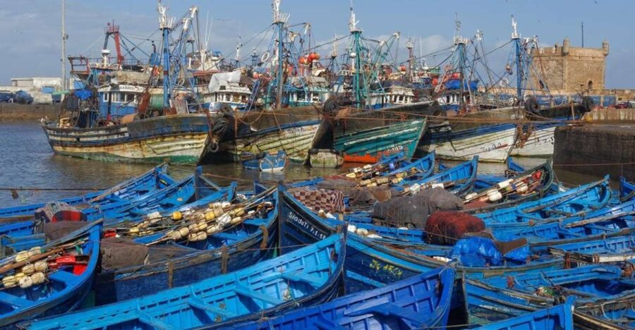 From Marrakesh: Day Trip to Essaouira