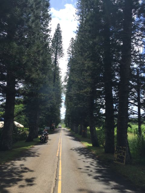 From Maui: Private Road to Hana Day Trip - Overview of the Tour