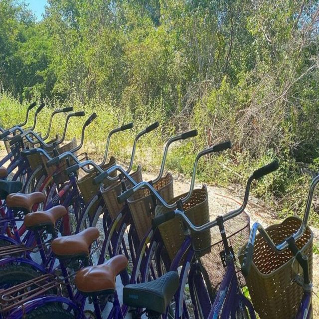 From Merida: 4 Cenotes and Acanceh Zone With Lunch & Bikes