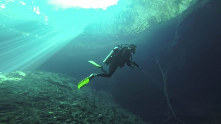 From Mérida: Explore Two Cenotes Tour With Lunch