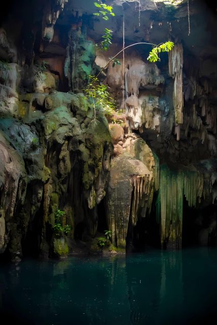 From Mérida: Mayan Sanctuary, Cenote & Kukulkan Nights Show