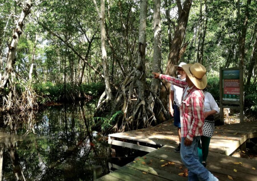 From Mérida: Ria Celestun Biosphere Reserve Tour