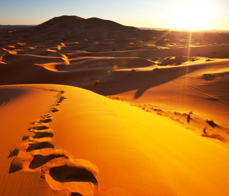 From Merzouga: Overnight Camel Trek Over Erg Chebbi Dunes - Overview and Pricing