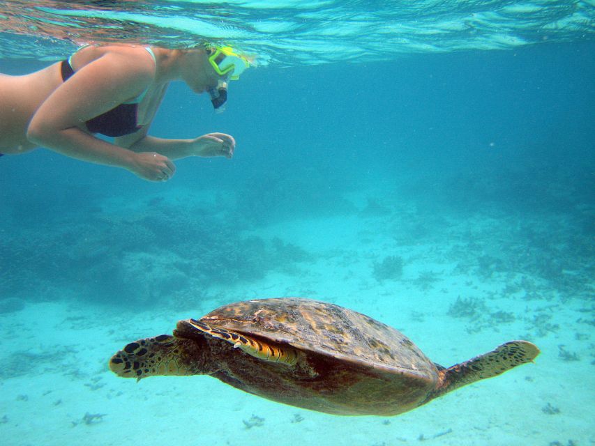 From Miami: Key West Day Trip - Overview and Pricing