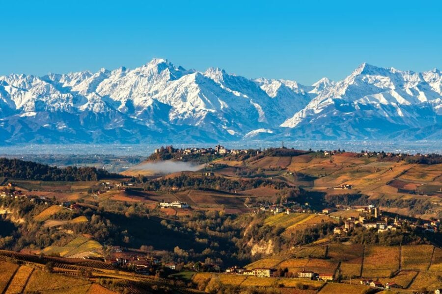 6 Best Wine Tours In Barolo