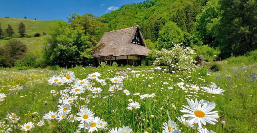 From Nagoya: Hida Takayama and Shirakawa-go UNESCO Day Trip - Overview of the Tour