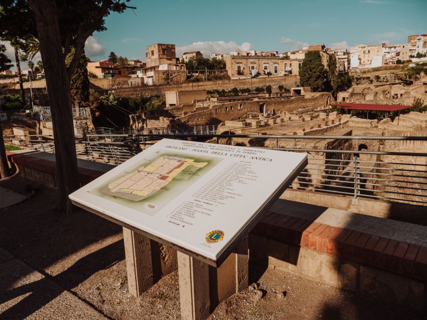 From Naples: Pompeii & Herculaneum With Archaeologist Guide - Tour Overview