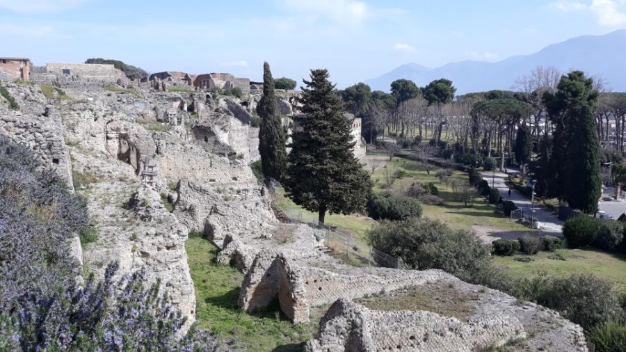 From Naples: Pompeii Private Half Day Tour