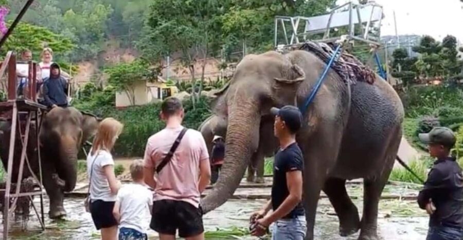 From Nha Trang: 1 Day Dalat Tour - Tour Overview