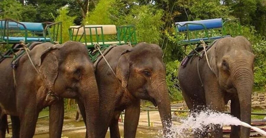 From Nha Trang: 1 Day Dalat Tour - Tour Overview