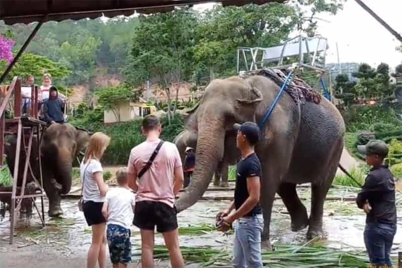 From Nha Trang : 1 Day Trip to Da Lat and Waterfalls