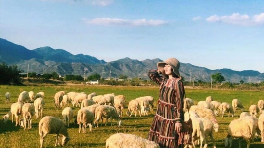From Nha Trang: Day Trip to the Desert (Phan Rang)