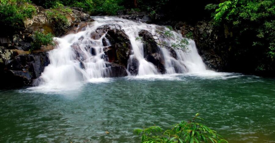 From Nha Trang: Full Day Trip to Yang Bay Waterfall - Trip Overview