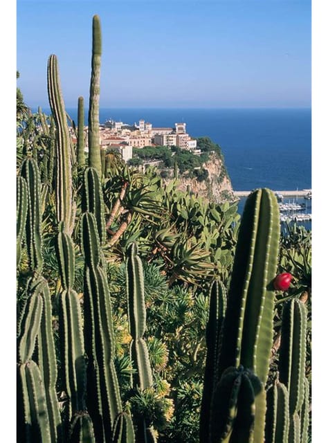 From Nice: Day Tour of Eze, Monaco and Monte-Carlo