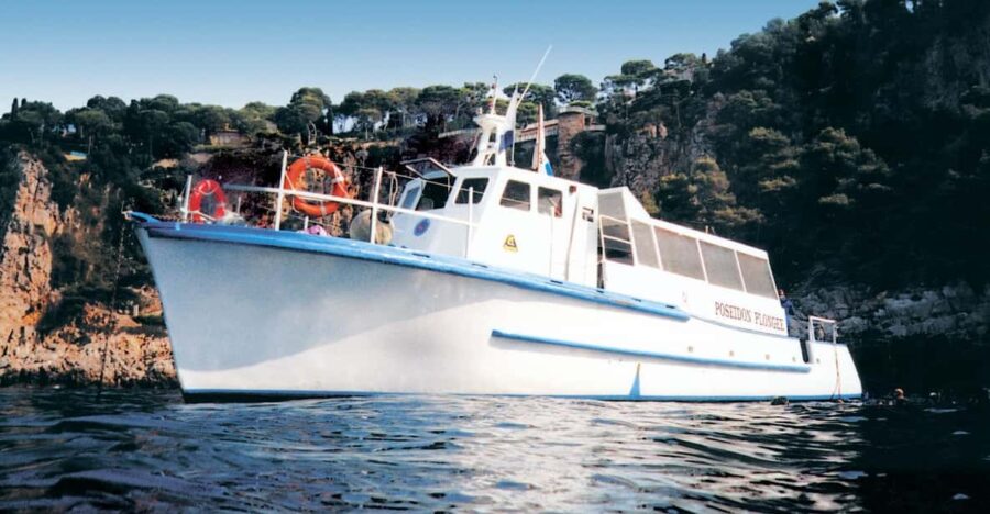 From Nice: Villefranche Bay Swimming & Snorkeling Boat Tour - Tour Overview