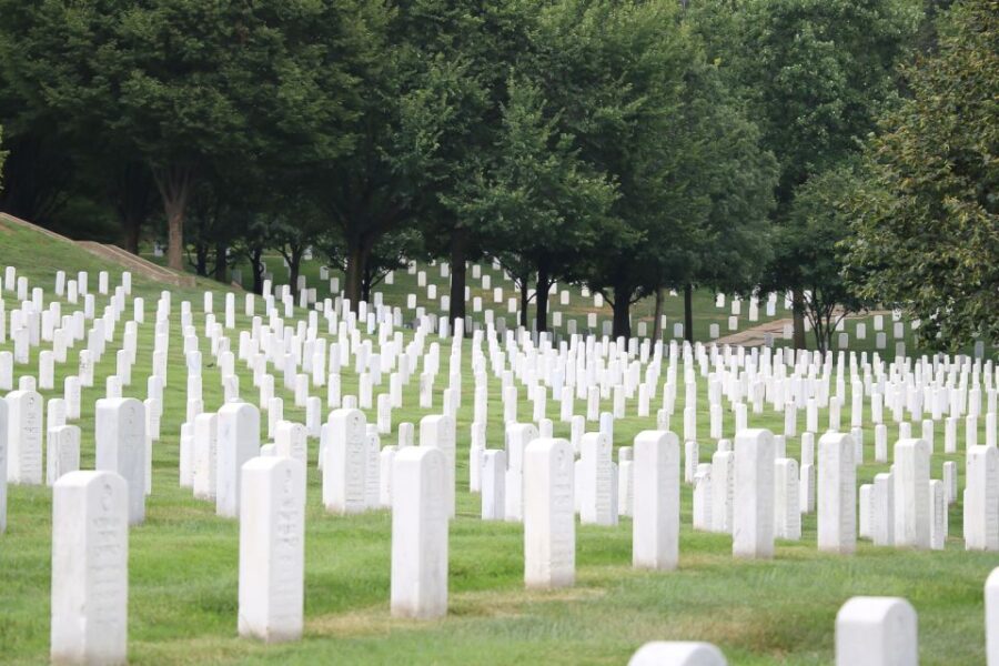 From NYC: Guided Day Trip to Washington DC by Van or Bus - Trip Overview and Pricing