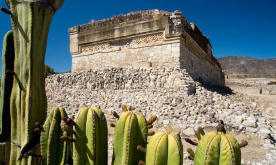 From Oaxaca: Oaxaca, Mitla, and Mezcal Factory Tour
