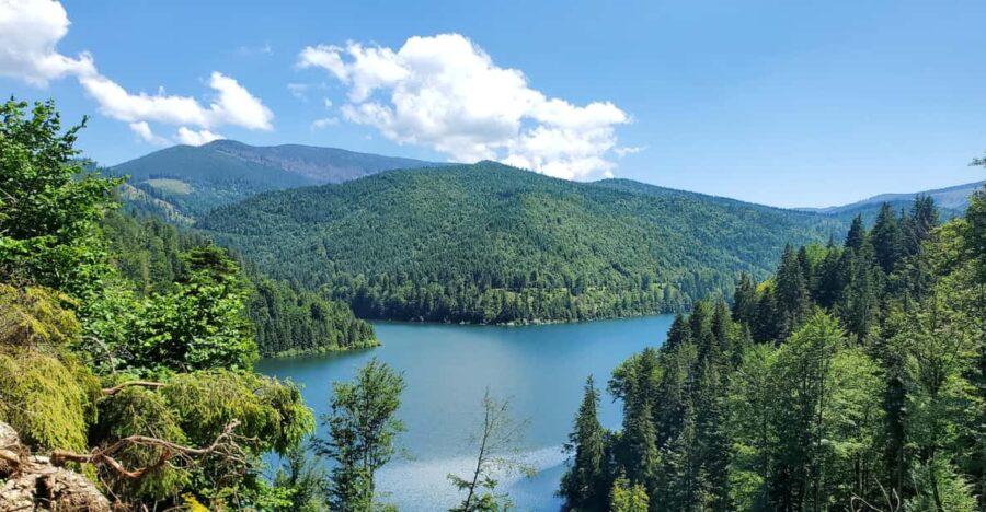 From Oradea: Mountain Bike Around Lake Dragan