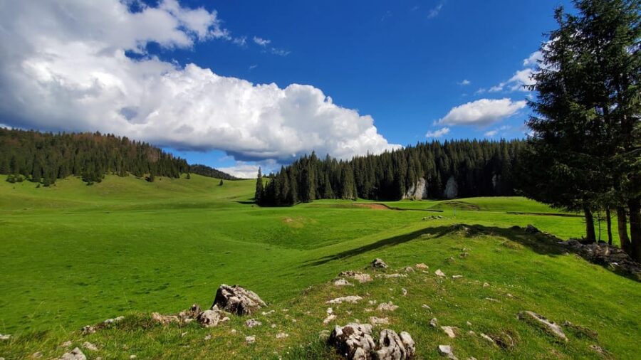 From Oradea:Carpathian Mountains Guided Scenic Hike