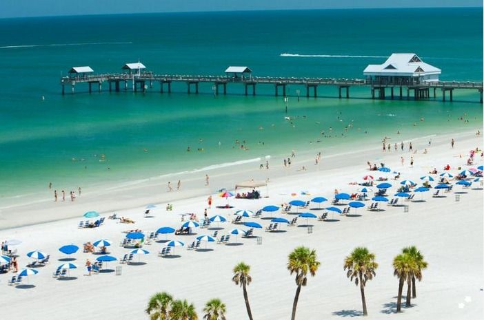 From Orlando: Clearwater Beach and Marine Aquarium Admission - Tour Overview