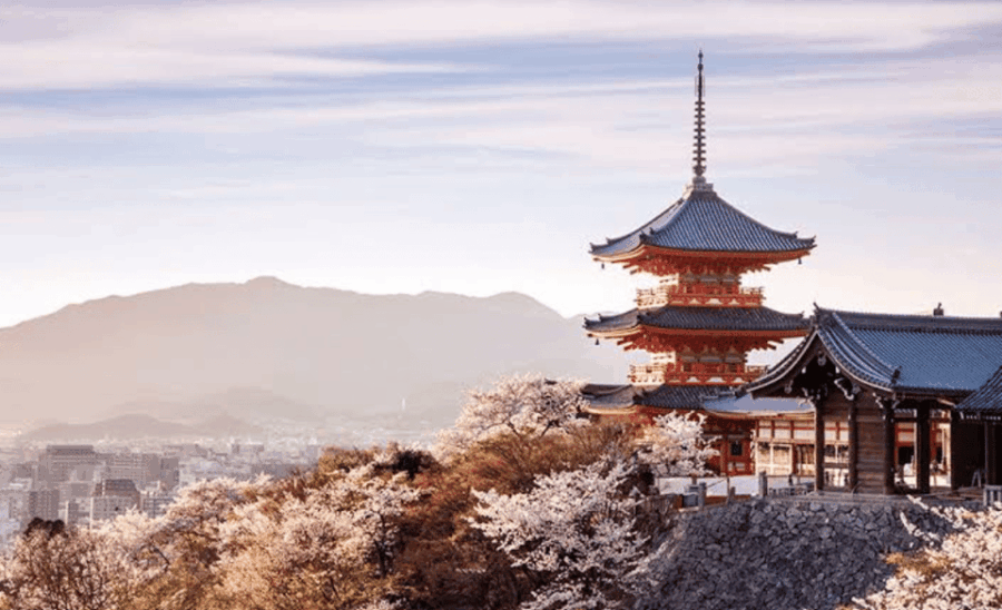20 Best Full-Day Tours In Kyoto