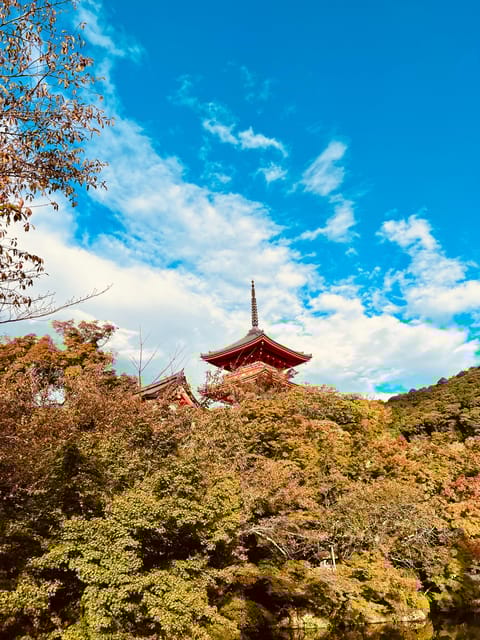 From Osaka/Kyoto: Kyoto Private Tour With Luxury Vehicle