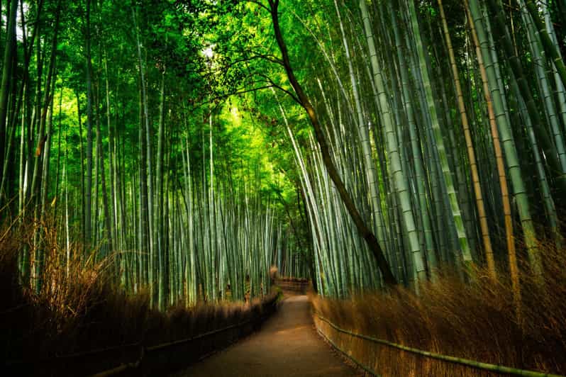 From Osaka to Kyoto: Arashiyama Bamboo Forest Tour - Tour Details