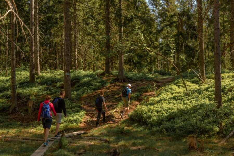 From Oslo: The Nordmarka Challenge!