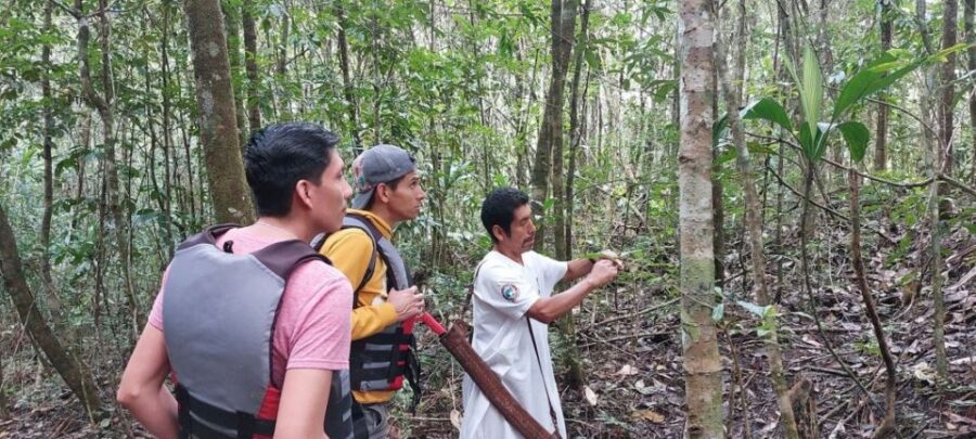 From Palenque: Naha Center and Lacandona Jungle Tour