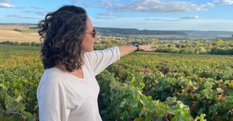 From Paris: Wine Day Trip to SANCERRE W 10 Tastings & Lunch