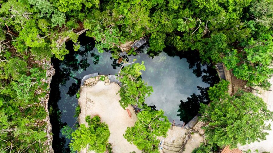 From Playa Del Carmen: Casa Tortuga Cenotes Day Tour
