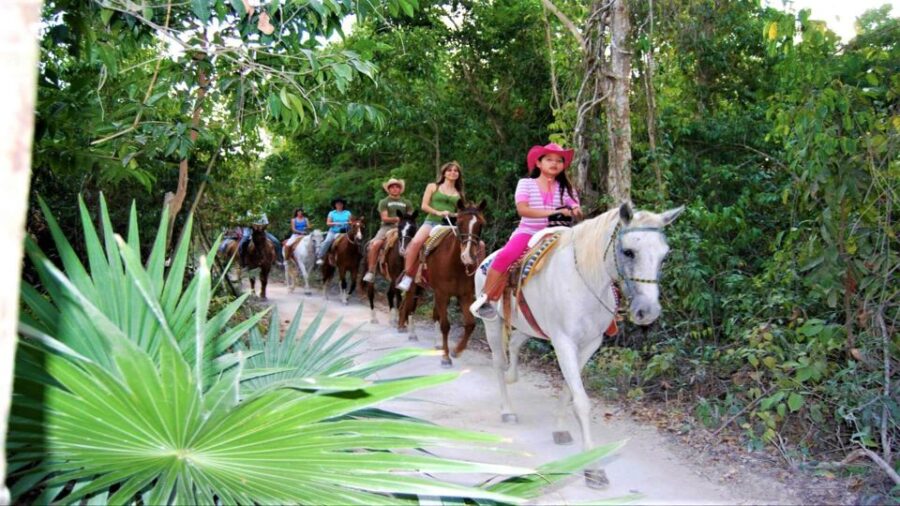 From Playa Del Carmen/Tulum: Maya Adrenaline Park Tour