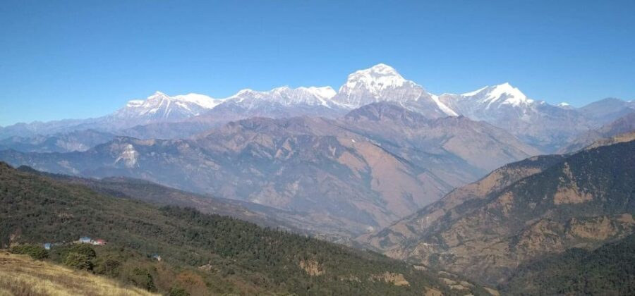 From Pokhara: 1 Night 2 Days Ghorepani Poon Hill Trek